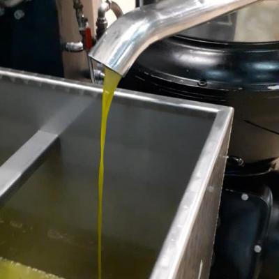 Colletti Olio Extra Vergine di Oliva 